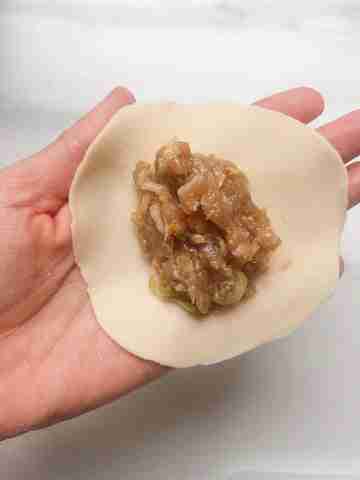 Chinese Dumplings